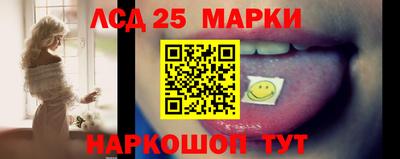 гашик Тара