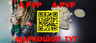 гашик Тара