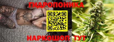 гашик Тара