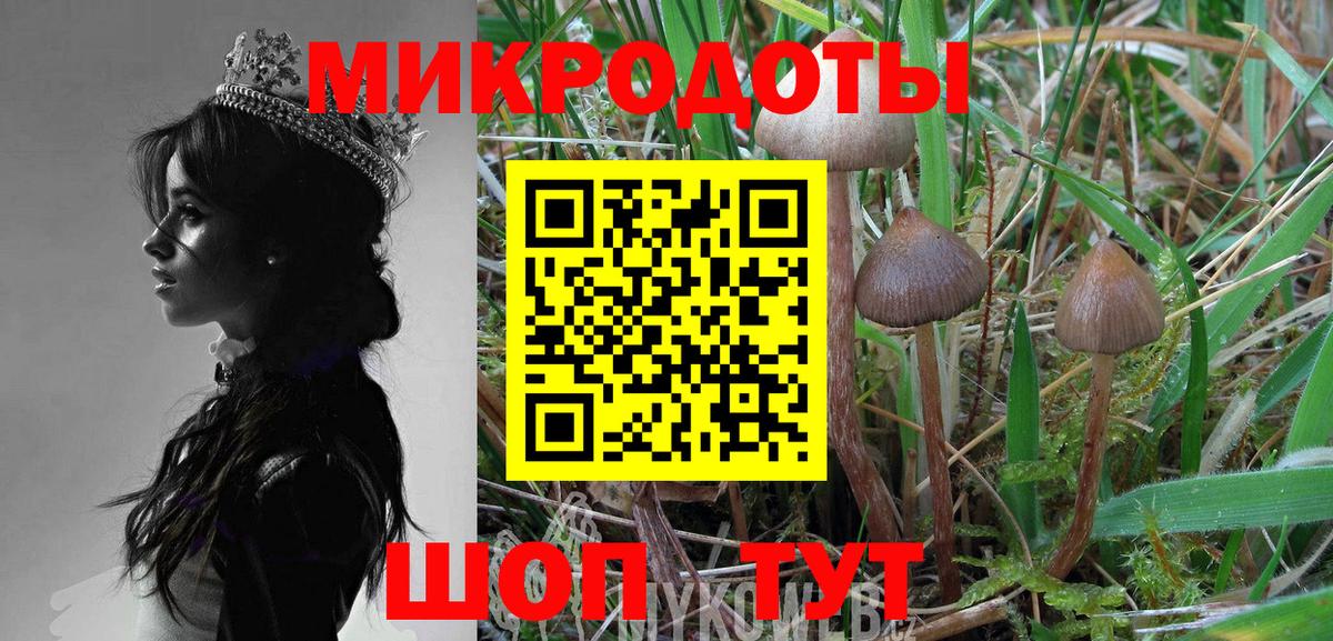 Псилоцибиновые грибы прущие грибы Нерюнгри