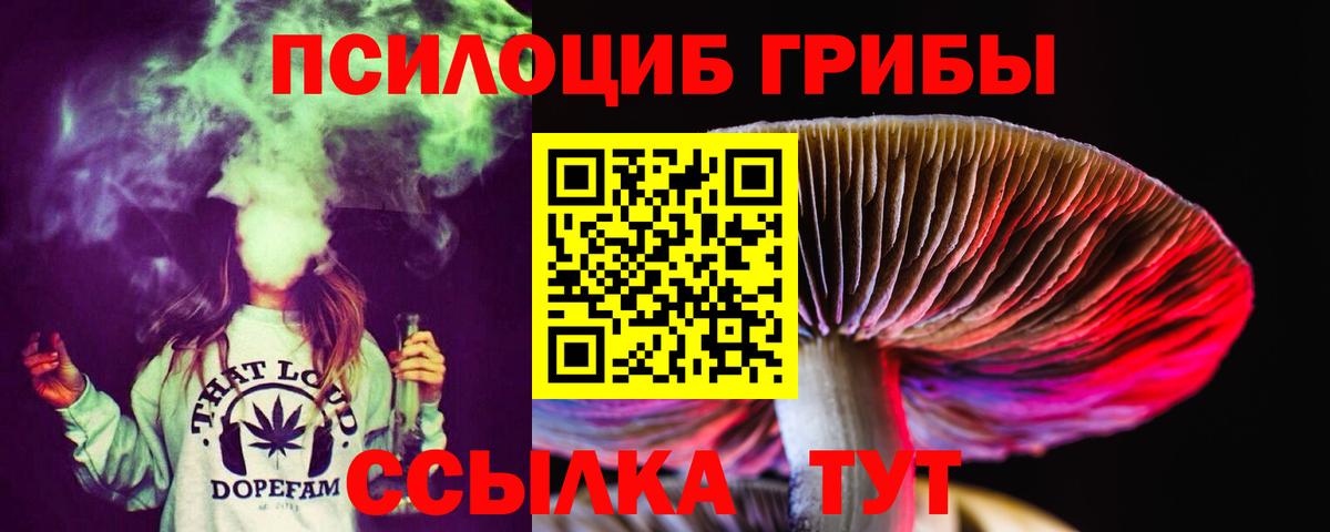 продажа наркотиков  Галлюциногенные грибы Magic Shrooms  Галлюциногенные грибы мицелий  Вход с VPN  Нерюнгри 